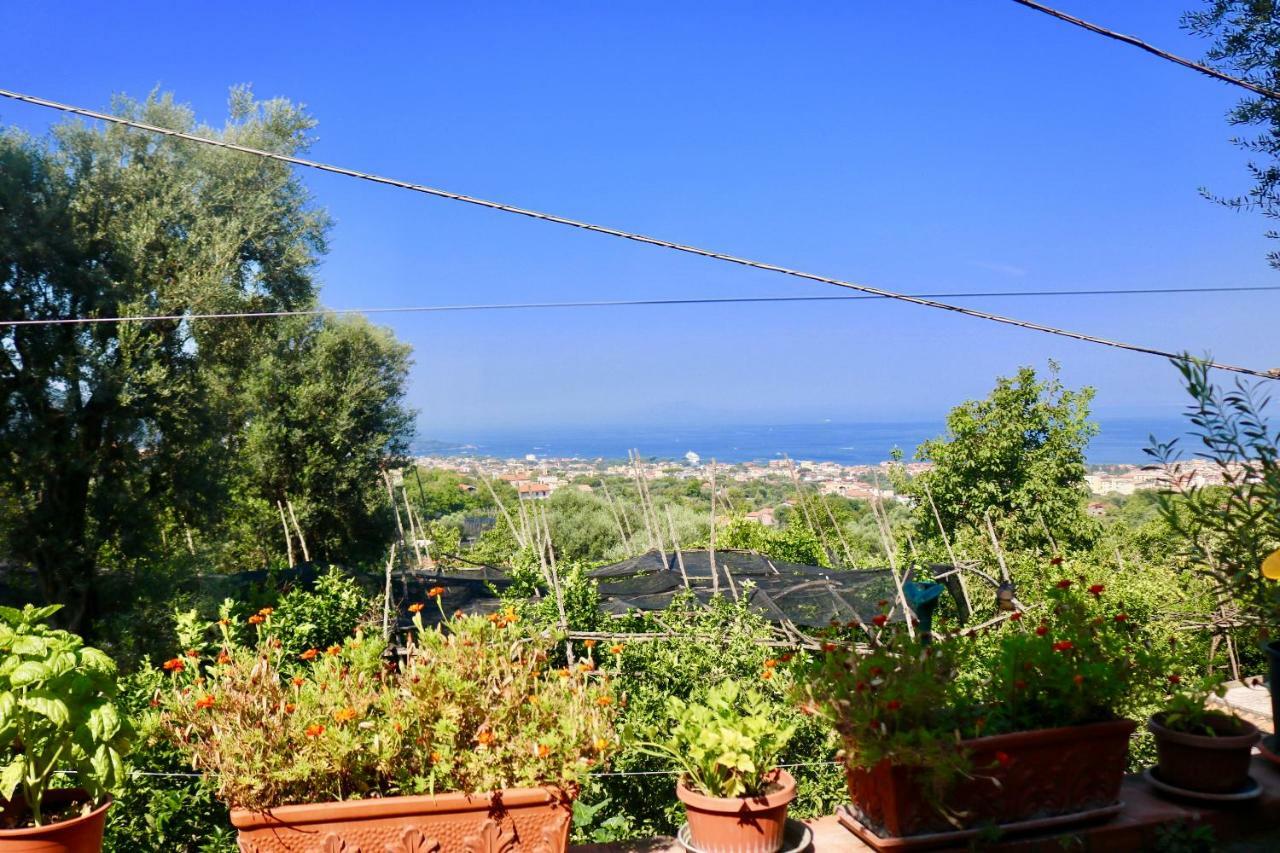 Traulivi Country House Meta Bagian luar foto